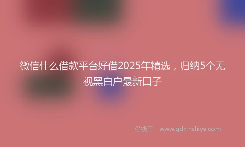 微信什么借款平台好借2025年精选，归纳5个无视黑白户最新口子