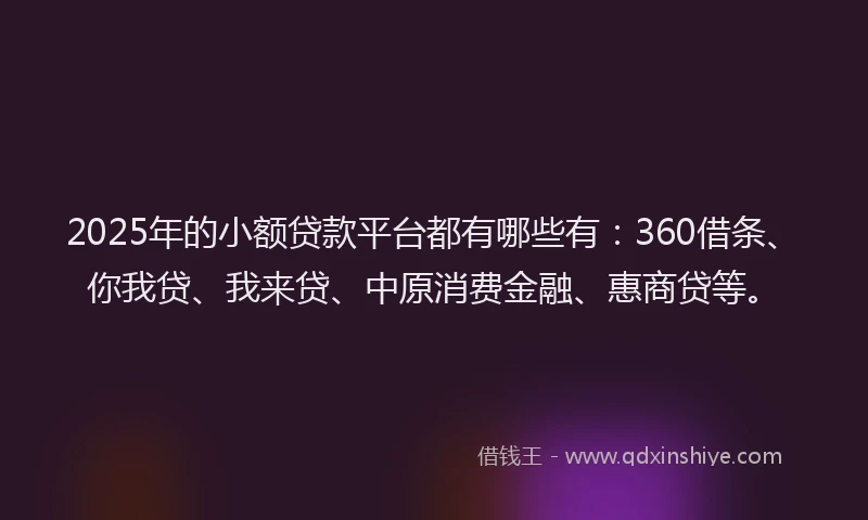 2025年的小额贷款平台都有哪些有：360借条、你我贷、我来贷、中原消费金融、惠商贷等。