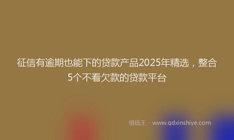 征信有逾期也能下的贷款产品2025年精选，整合5个不看欠款的贷款平台