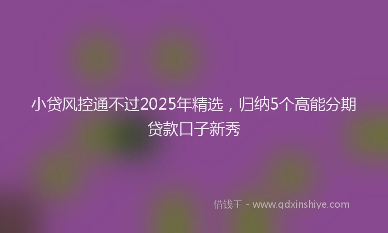 小贷风控通不过2025年精选，归纳5个高能分期贷款口子新秀