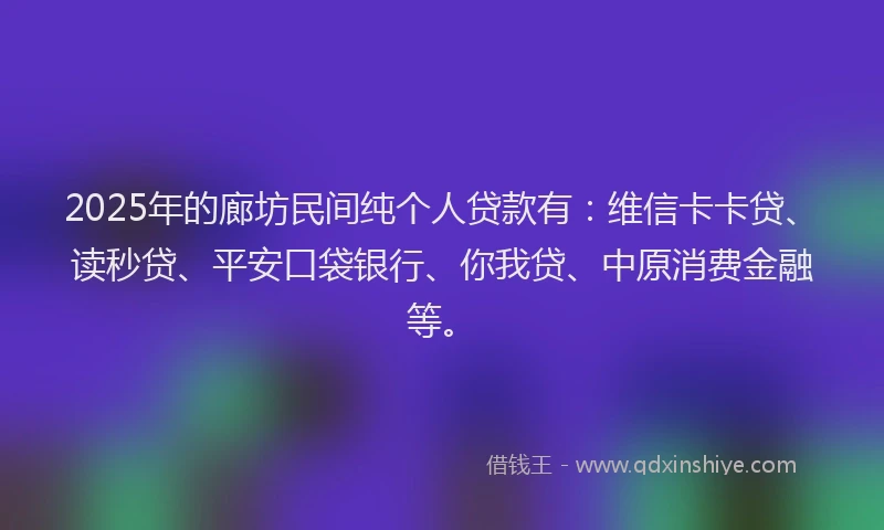 2025年的廊坊民间纯个人贷款有：维信卡卡贷、读秒贷、平安口袋银行、你我贷、中原消费金融等。
