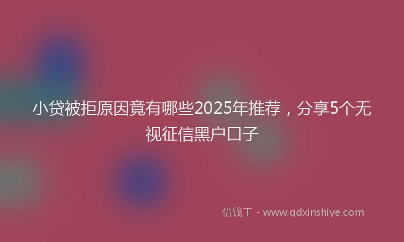 小贷被拒原因竟有哪些2025年推荐，分享5个无视征信黑户口子