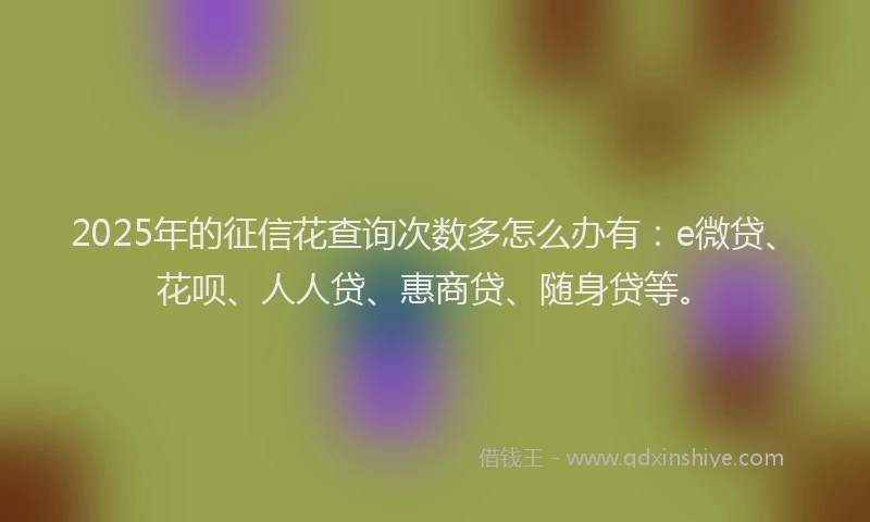 2025年的征信花查询次数多怎么办有：e微贷、花呗、人人贷、惠商贷、随身贷等。