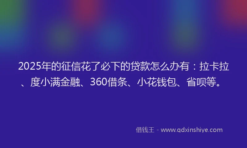2025年的征信花了必下的贷款怎么办有：拉卡拉、度小满金融、360借条、小花钱包、省呗等。