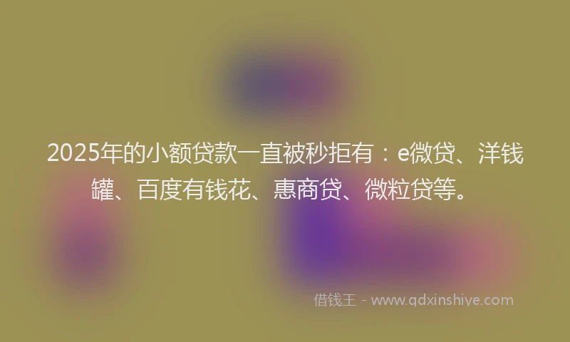 2025年的小额贷款一直被秒拒有：e微贷、洋钱罐、百度有钱花、惠商贷、微粒贷等。