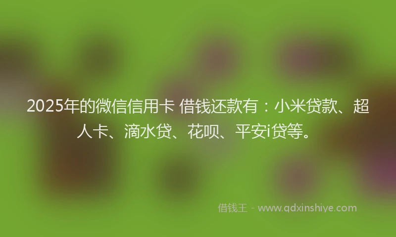 2025年的微信信用卡 借钱还款有：小米贷款、超人卡、滴水贷、花呗、平安i贷等。