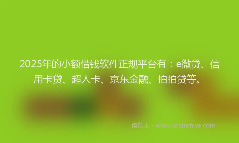2025年的小额借钱软件正规平台有：e微贷、信用卡贷、超人卡、京东金融、拍拍贷等。