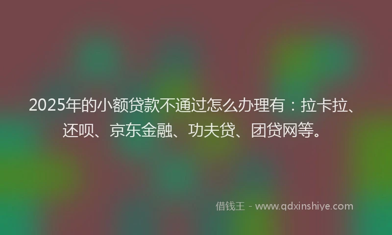 2025年的小额贷款不通过怎么办理有：拉卡拉、还呗、京东金融、功夫贷、团贷网等。