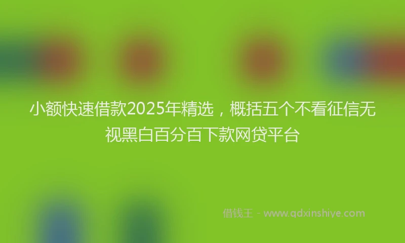 小额快速借款2025年精选，概括五个不看征信无视黑白百分百下款网贷平台