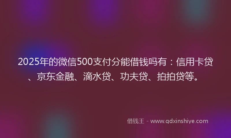 2025年的微信500支付分能借钱吗有：信用卡贷、京东金融、滴水贷、功夫贷、拍拍贷等。