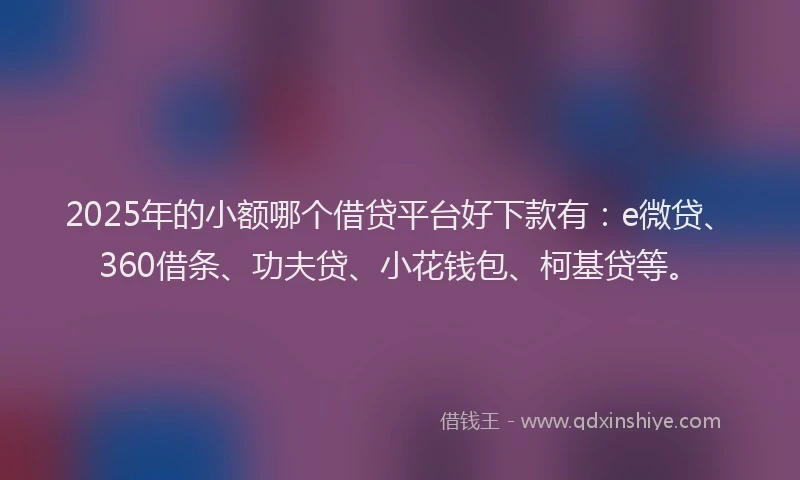 2025年的小额哪个借贷平台好下款有：e微贷、360借条、功夫贷、小花钱包、柯基贷等。