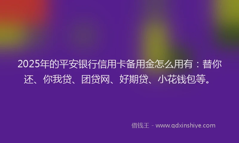 2025年的平安银行信用卡备用金怎么用有:替你还、你我贷、团贷网、好期贷、小花钱包等。