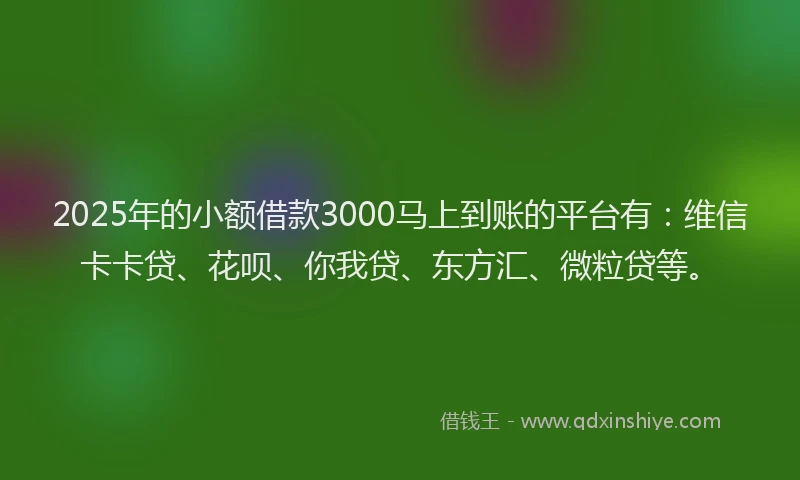 2025年的小额借款3000马上到账的平台有：维信卡卡贷、花呗、你我贷、东方汇、微粒贷等。