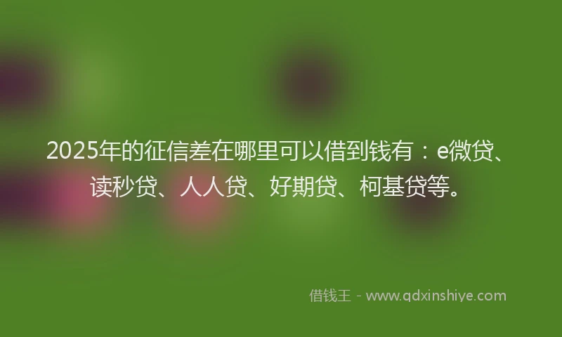 2025年的征信差在哪里可以借到钱有：e微贷、读秒贷、人人贷、好期贷、柯基贷等。