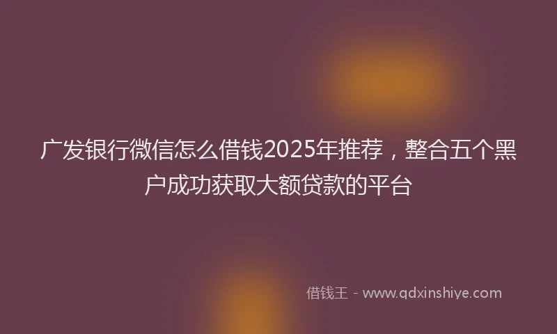 广发银行微信怎么借钱2025年推荐，整合五个黑户成功获取大额贷款的平台
