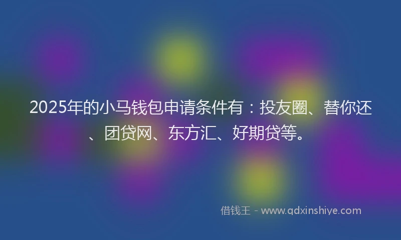2025年的小马钱包申请条件有：投友圈、替你还、团贷网、东方汇、好期贷等。