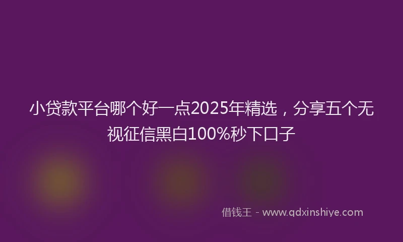 小贷款平台哪个好一点2025年精选，分享五个无视征信黑白100%秒下口子