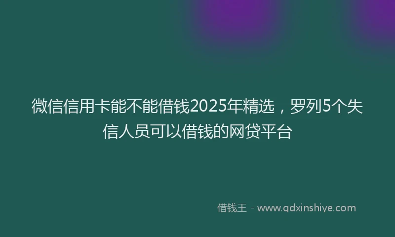 微信信用卡能不能借钱2025年精选，罗列5个失信人员可以借钱的网贷平台