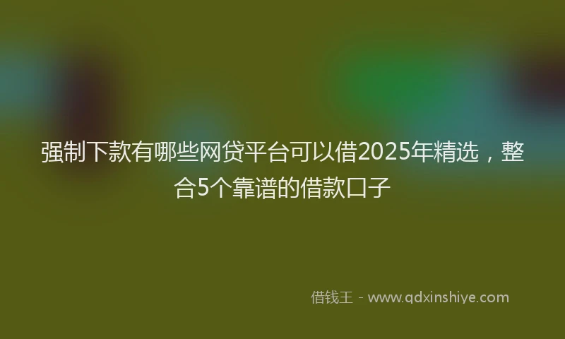 强制下款有哪些网贷平台可以借2025年精选，整合5个靠谱的借款口子