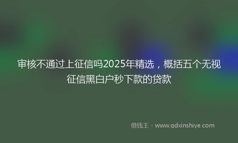 审核不通过上征信吗2025年精选，概括五个无视征信黑白户秒下款的贷款
