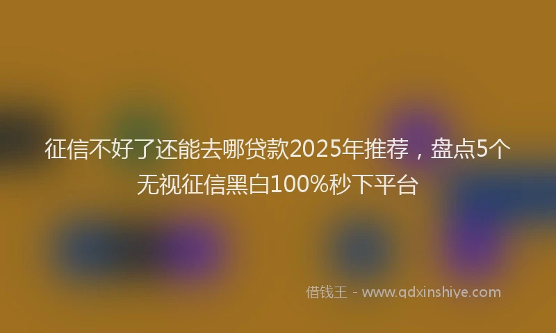 征信不好了还能去哪贷款2025年推荐，盘点5个无视征信黑白100%秒下平台