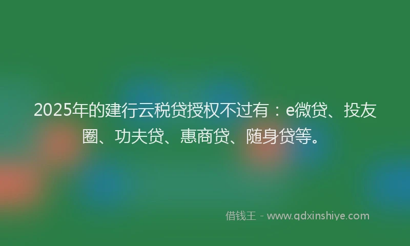 2025年的建行云税贷授权不过有：e微贷、投友圈、功夫贷、惠商贷、随身贷等。