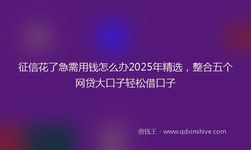 征信花了急需用钱怎么办2025年精选，整合五个网贷大口子轻松借口子