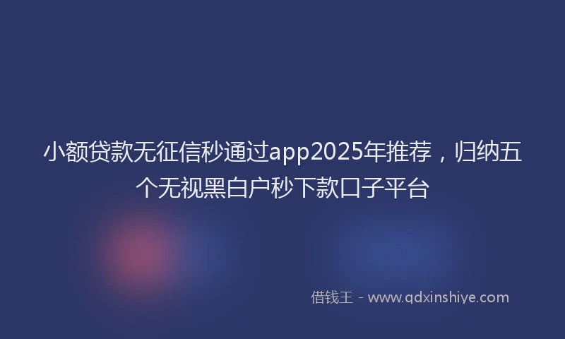 小额贷款无征信秒通过app2025年推荐，归纳五个无视黑白户秒下款口子平台