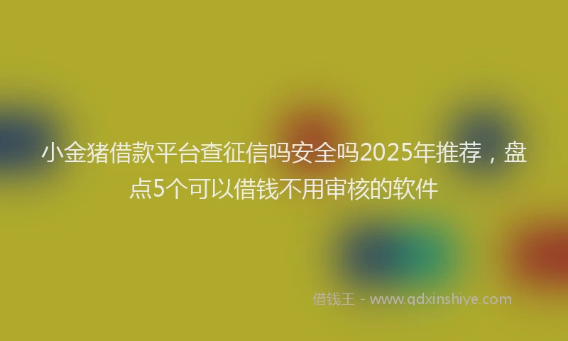 小金猪借款平台查征信吗安全吗2025年推荐，盘点5个可以借钱不用审核的软件