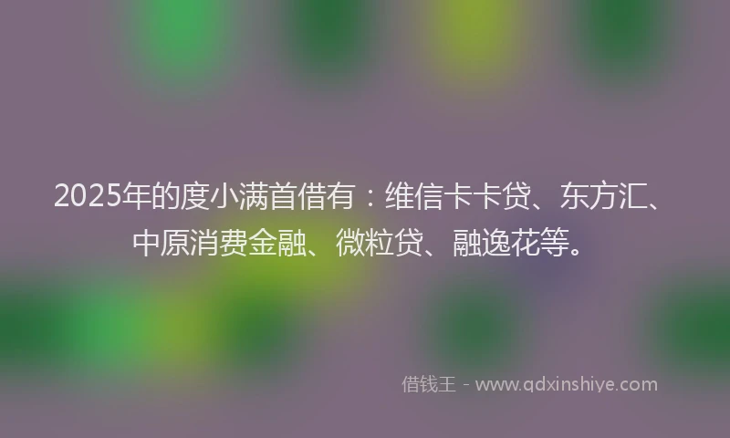 2025年的度小满首借有：维信卡卡贷、东方汇、中原消费金融、微粒贷、融逸花等。