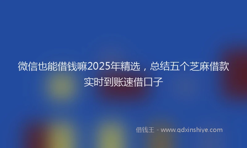 微信也能借钱嘛2025年精选，总结五个芝麻借款实时到账速借口子