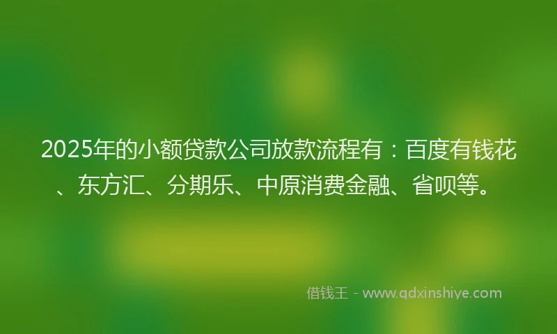 2025年的小额贷款公司放款流程有：百度有钱花、东方汇、分期乐、中原消费金融、省呗等。