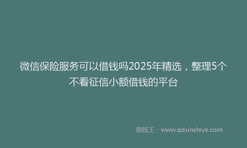 微信保险服务可以借钱吗2025年精选，整理5个不看征信小额借钱的平台