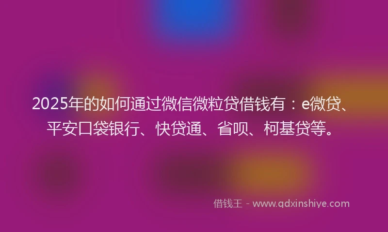 2025年的如何通过微信微粒贷借钱有：e微贷、平安口袋银行、快贷通、省呗、柯基贷等。