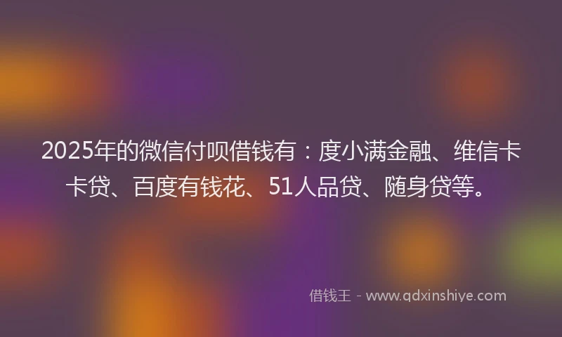 2025年的微信付呗借钱有：度小满金融、维信卡卡贷、百度有钱花、51人品贷、随身贷等。