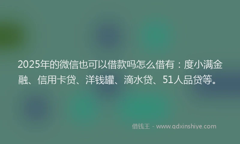 2025年的微信也可以借款吗怎么借有：度小满金融、信用卡贷、洋钱罐、滴水贷、51人品贷等。