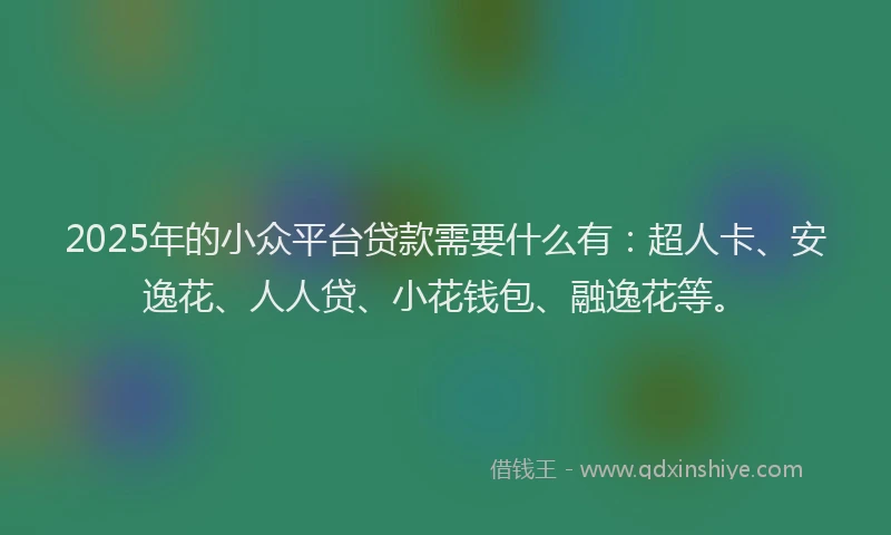 2025年的小众平台贷款需要什么有：超人卡、安逸花、人人贷、小花钱包、融逸花等。