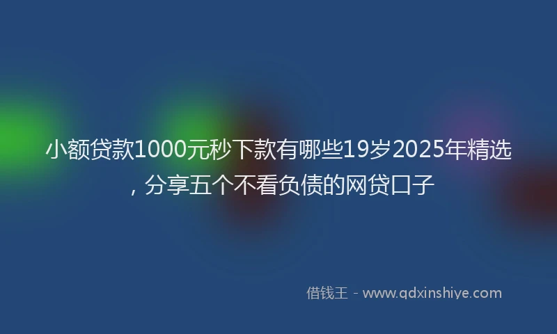小额贷款1000元秒下款有哪些19岁2025年精选，分享五个不看负债的网贷口子