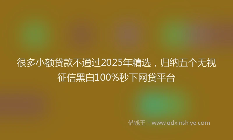 很多小额贷款不通过2025年精选，归纳五个无视征信黑白100%秒下网贷平台