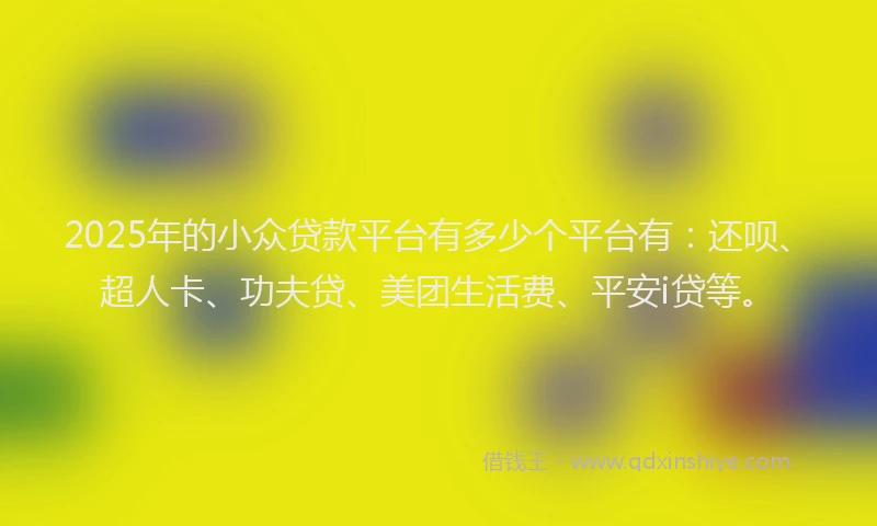 2025年的小众贷款平台有多少个平台有：还呗、超人卡、功夫贷、美团生活费、平安i贷等。
