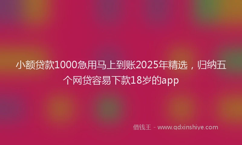 小额贷款1000急用马上到账2025年精选，归纳五个网贷容易下款18岁的app