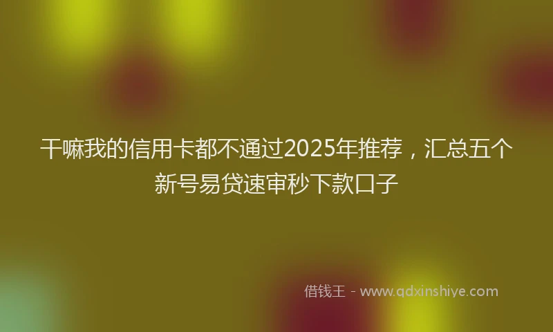干嘛我的信用卡都不通过2025年推荐，汇总五个新号易贷速审秒下款口子