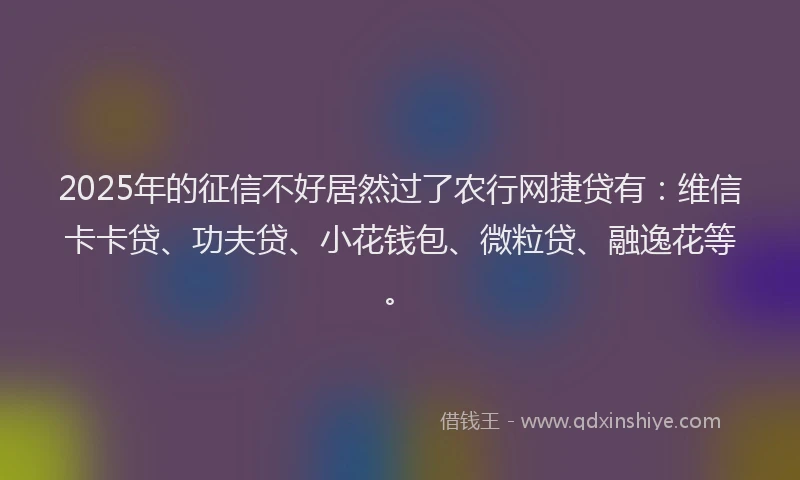 2025年的征信不好居然过了农行网捷贷有：维信卡卡贷、功夫贷、小花钱包、微粒贷、融逸花等。