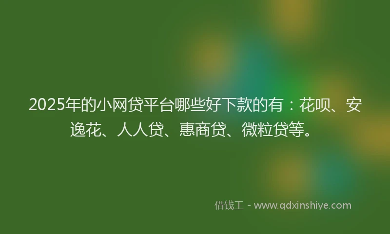 2025年的小网贷平台哪些好下款的有：花呗、安逸花、人人贷、惠商贷、微粒贷等。