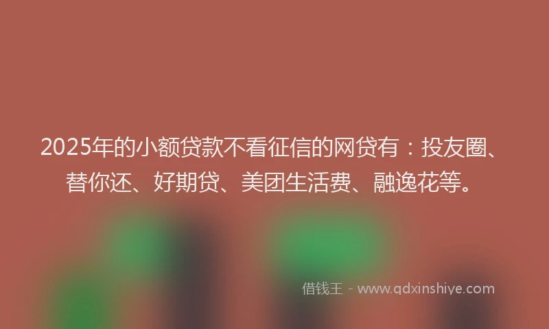 2025年的小额贷款不看征信的网贷有：投友圈、替你还、好期贷、美团生活费、融逸花等。