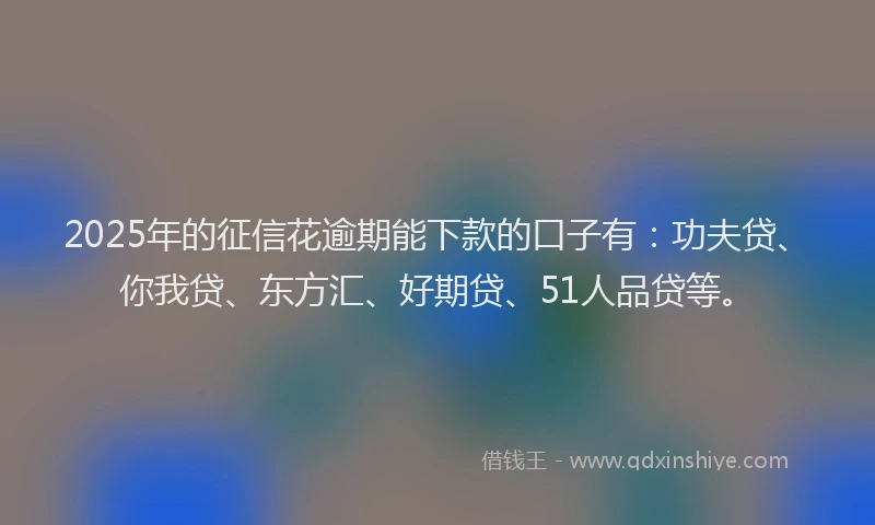 2025年的征信花逾期能下款的口子有：功夫贷、你我贷、东方汇、好期贷、51人品贷等。