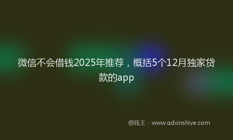 微信不会借钱2025年推荐，概括5个12月独家贷款的app