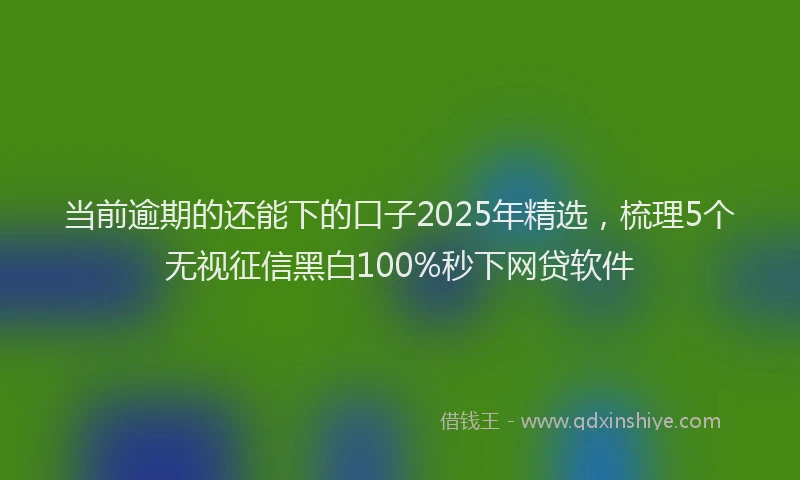 当前逾期的还能下的口子2025年精选，梳理5个无视征信黑白100%秒下网贷软件