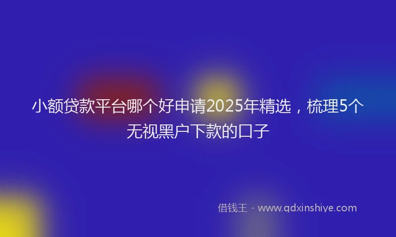 小额贷款平台哪个好申请2025年精选，梳理5个无视黑户下款的口子