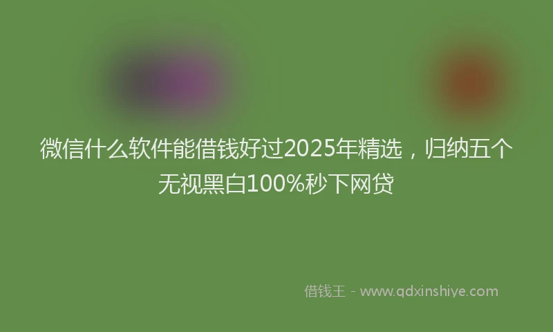 微信什么软件能借钱好过2025年精选，归纳五个无视黑白100%秒下网贷
